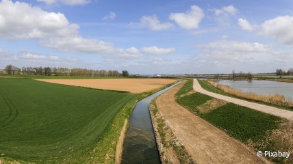 Daguitstap naar Kinderdijk & de Biesbosch met boottocht - DF Vorst