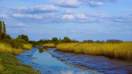 Daguitstap naar Scheldebron & Kamerijk - DF Vorst